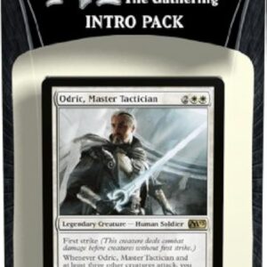 Magic The Gathering M13: MTG: 2013 Core Set Intro Pack: Path to Victory Theme Deck (Includes 2 Booster Packs)